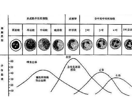 孕酮正常值