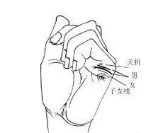 2017生男生女计算器