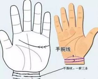 2017生男生女计算器