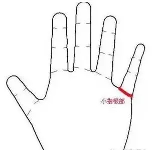 2017生男生女计算器