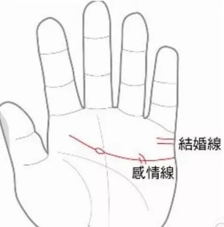 2017生男生女计算器