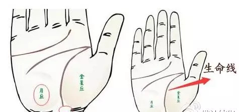 2017生男生女计算器