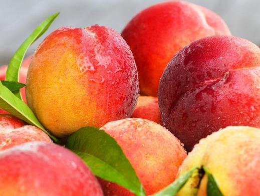 三伏天适合吃什么水果 七月三伏天吃这些水果最养生