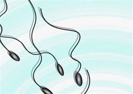 禁欲10天精子会老化吗 注意精子寿命