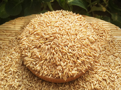 燕麦怎么吃美白 白雪肌肤夏天也能拥有