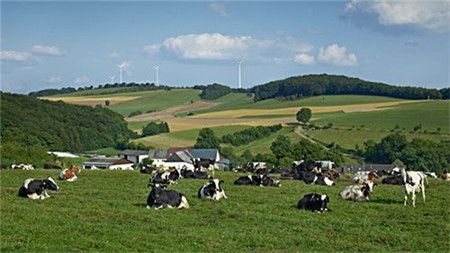 合生元奶粉是国产的还是进口的？