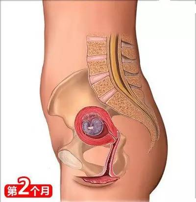 从怀孕到生娃，26个母婴常识！（干货太多，实用收藏）