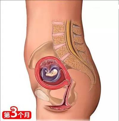 从怀孕到生娃，26个母婴常识！（干货太多，实用收藏）