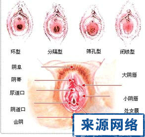 女性阴道图片 了解女性生理