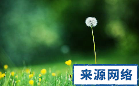 蒲公英泡水喝的三大禁忌