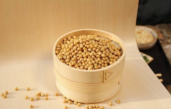 经期吃什么能丰胸 3种黄豆食谱丰胸最有效果