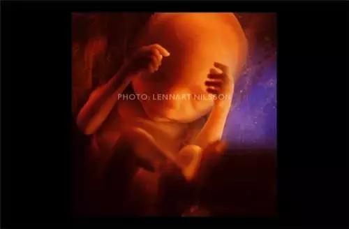 男性液体进入女性身体之后的奇妙过程(图片)！