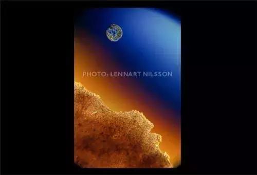 男性液体进入女性身体之后的奇妙过程(图片)！