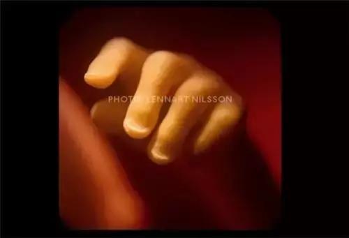 男性液体进入女性身体之后的奇妙过程(图片)！