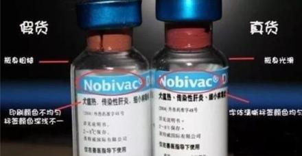 疫苗都能造假，父母要练火眼金睛才能放心吗？