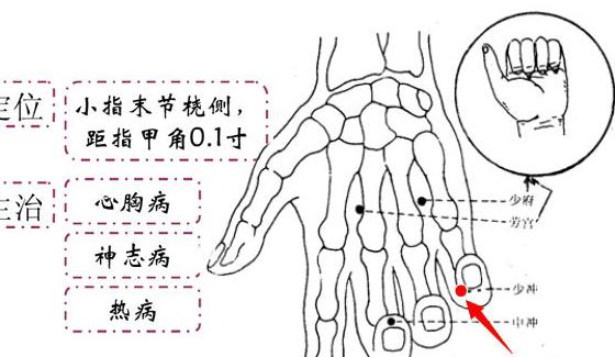 少冲穴的准确位置图 少冲穴的准确位置图