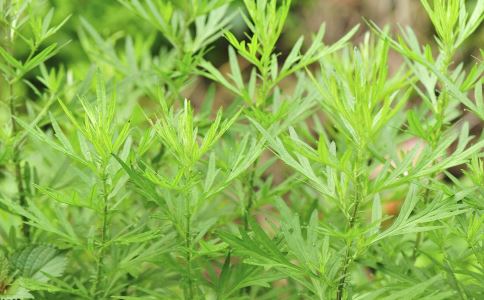 月经量过多怎么办 4个中医食疗方推荐