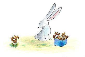 小白兔的蛋糕云的胎教故事2 小白兔的蛋糕云的胎教故事