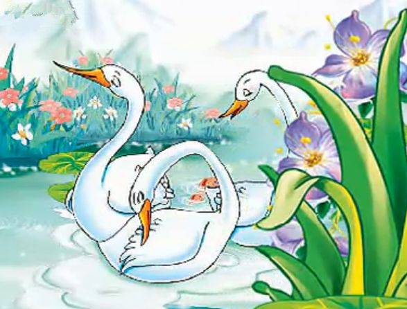 想接近太阳的天鹅的胎教故事1 想接近太阳的天鹅的胎教故事