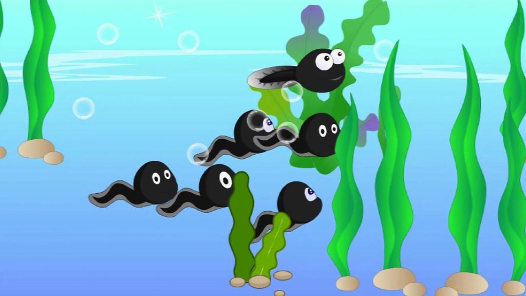 小蝌蚪的未来的胎教故事