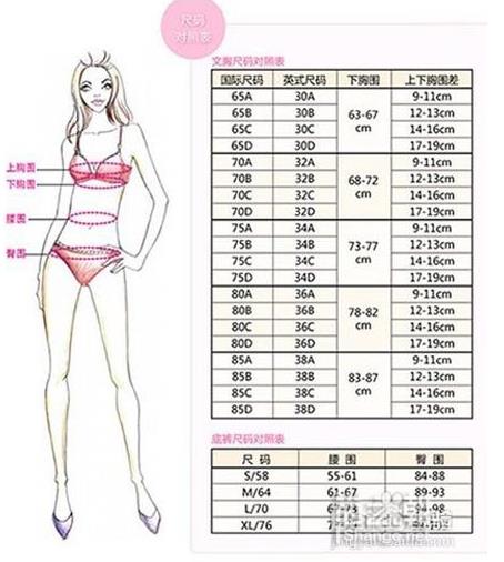 女人a罩杯到f的照片：真人版a到f罩杯的大小示意图
