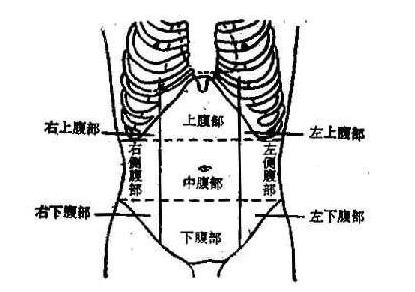 左腹部疼痛的可能病因：分析对应内脏器官位置判断病因
