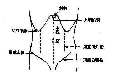 左腹部疼痛的可能病因：分析对应内脏器官位置判断病因
