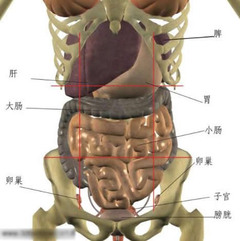 左腹部疼痛的可能病因：分析对应内脏器官位置判断病因