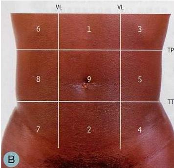 左腹部疼痛的可能病因：分析对应内脏器官位置判断病因