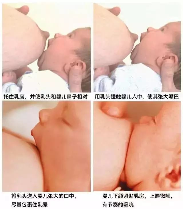 月嫂指导新生儿正确含住乳房吃到奶，妈妈不疼还促进乳汁分泌