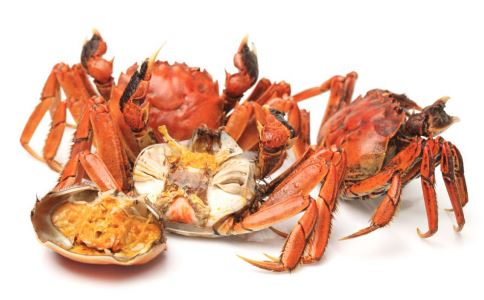 大姨妈来了吃什么会痛经 女人们快别吃了