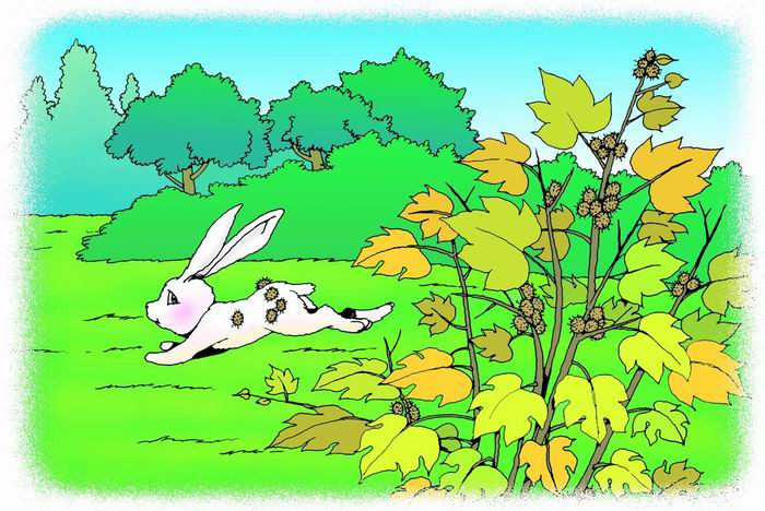 骑白马的苍耳的胎教故事1 骑白马的苍耳的胎教故事