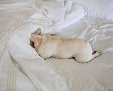 女性体内湿气重的6种表现，体内湿气重如何调理