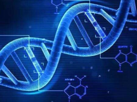 先天性唇腭裂的预防方法有哪些