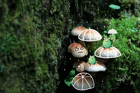 胎教故事280个必读：小青蛙之死