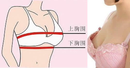 a罩杯和b罩杯有什么区别：穿内衣a杯b杯没什么区别？