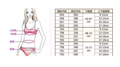 a罩杯和b罩杯有什么区别：穿内衣a杯b杯没什么区别？