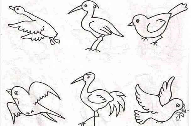 小鸟简笔画