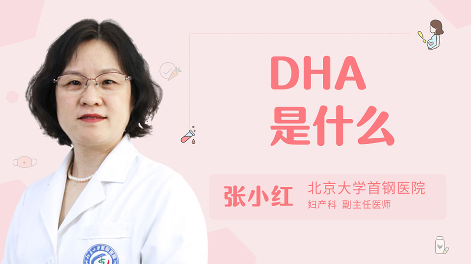 DHA是什么