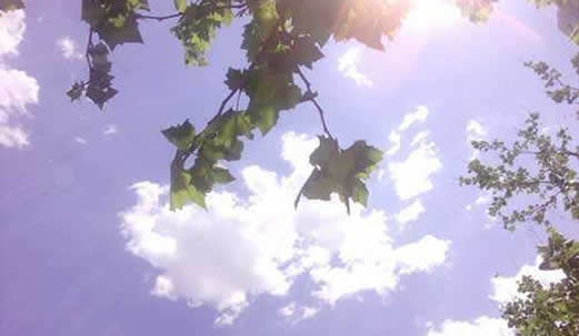 40天加长版三伏天：这就是2019三伏天时间表