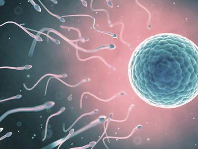 什么情况容易怀男孩2019：什么时候同房容易生男孩