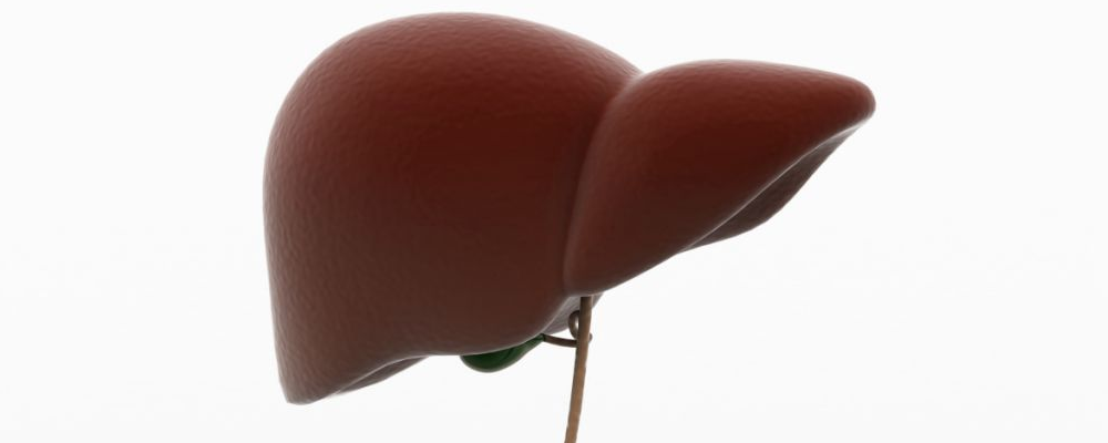 男人如何预防脂肪肝 这几类人容易患脂肪肝