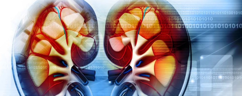 尿酸高怎么办 如何预防尿酸高