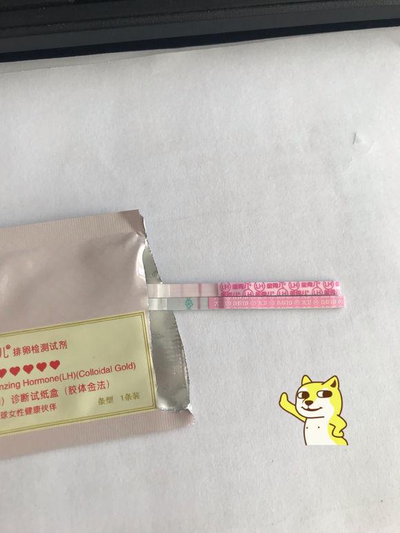 经验分享：输卵管通而不畅，备孕一年多终于怀上了