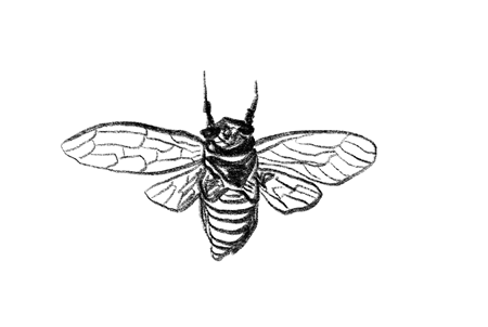 孕晚期胎教故事文字版:苍蝇、狐狸和刺猬 孕晚期胎教故事文字版:苍蝇、狐狸和刺猬