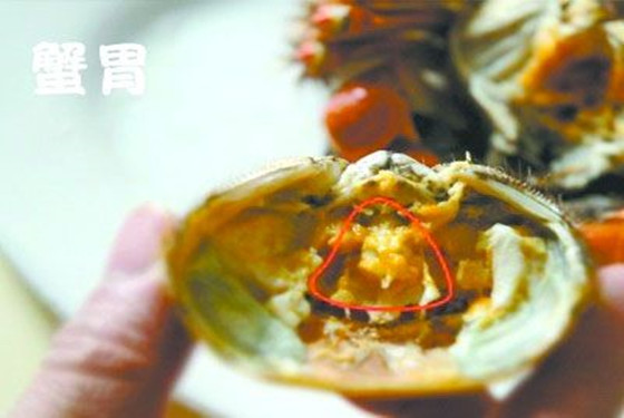 螃蟹哪里不能吃高清图 一分钟看懂如何正确吃螃蟹