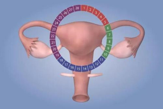 哪些子宫疾病会引起不孕 有这7种疾病的女性要小心了