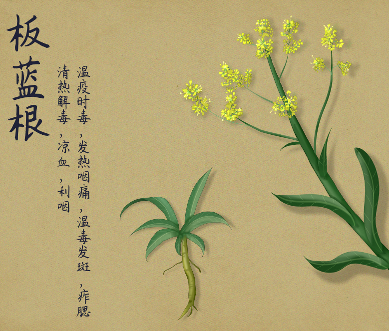 预防冠状病毒可以提前吃抗生素吗 预防冠状病毒可以提前吃抗生素吗