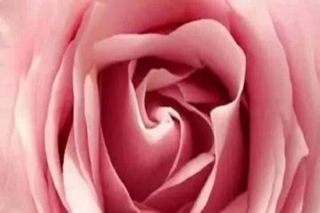 霉菌性阴道炎的症状用什么药效果好?三种治疗方式避免病情反复