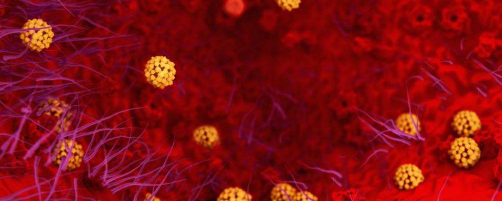 新冠状病毒早期症状有哪些 这些情况需要警惕